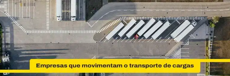 Contribuição das empresas que movimentam o transporte rodoviário de cargas para o Brasil