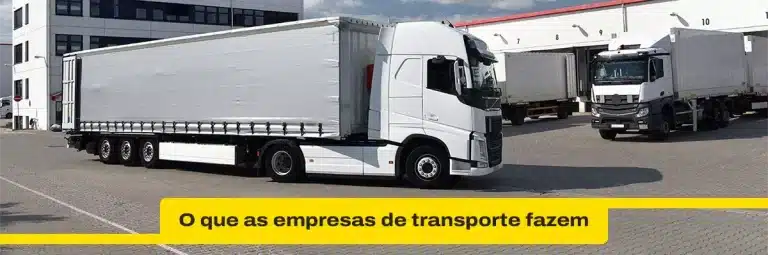 O que as empresas que movimentam o transporte rodoviário de cargas fazem?